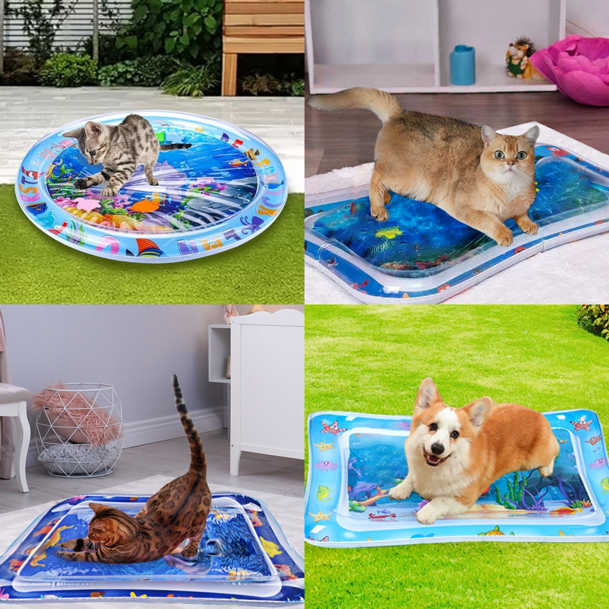 🔥Summer Hot Sale-50% de descuento😻Estera Sensorial de Agua para Mascotas